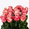 Роза Россия 70см — фото 7