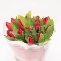 Букет № 489 с красными тюльпанами  — фото 13
