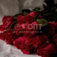 Роза Форевер 60см — фото 7