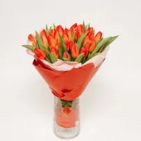 Букет № 564 из 25 тюльпанов — фото 48