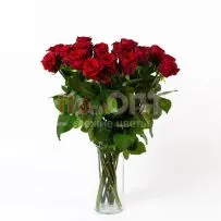 Роза Гран При 70 см — фото 29