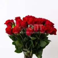 Роза Форевер 60см — фото 7