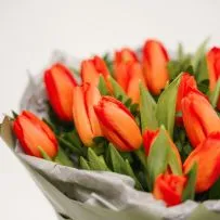 Букет № 563 из 19 тюльпанов — фото 35