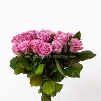 Роза Россия 70см — фото 5