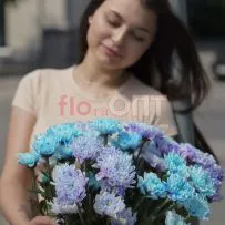 Хризантема крашеная Микс — фото 11