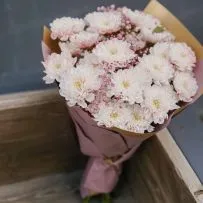 Букет № 563 из крашеной кустовой хризантемы  — фото 