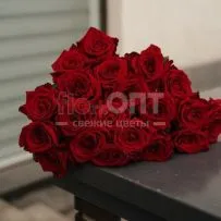 Роза Гран При 60 см — фото 30