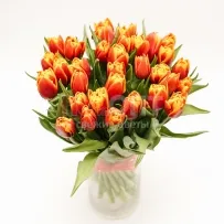 Тюльпан Экстра  — фото 15