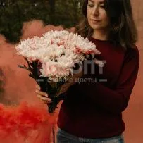 Букет № 550 из красных крашеных хризантем — фото 1