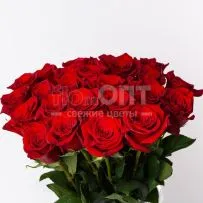 Роза Форевер 60см — фото 6