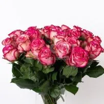 Роза Микс 70 см — фото 58