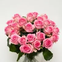 Роза Россия 60см — фото 9