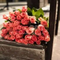 Роза Россия 60см — фото 8