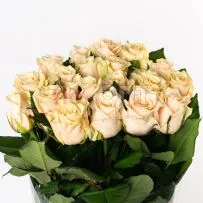 Роза Россия 70см — фото 4