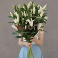 Лилия — фото 1