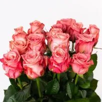 Роза Россия 60см — фото 8