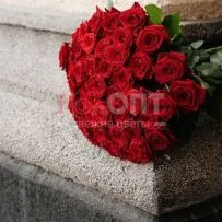 Роза Гран При 50 см — фото 32