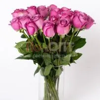 Роза Микс 60 см — фото 60