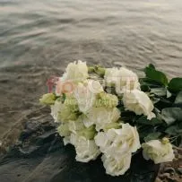 Эустома — фото 54