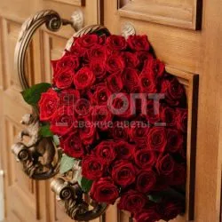 Роза Гран При 70 см — фото 1