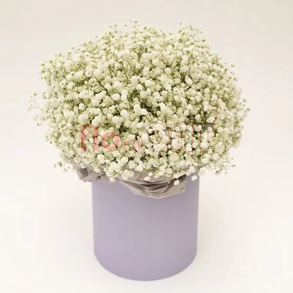 Композиция № 220 в коробке с гипсофилой  — фото 1