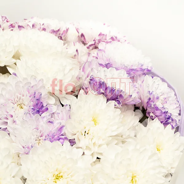 Букет № 529 с фиолетовой хризантемой  — фото 4