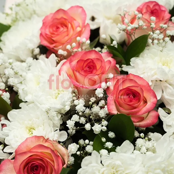 Букет № 522 с розовыми розами и белой хризантемой  — фото 3