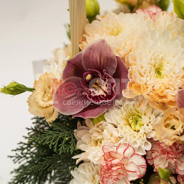 Композиция № 208 в ящике сборная с орхидеей  — фото 3