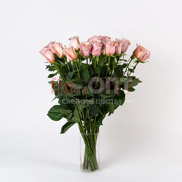 Роза Микс 70 см — фото 5