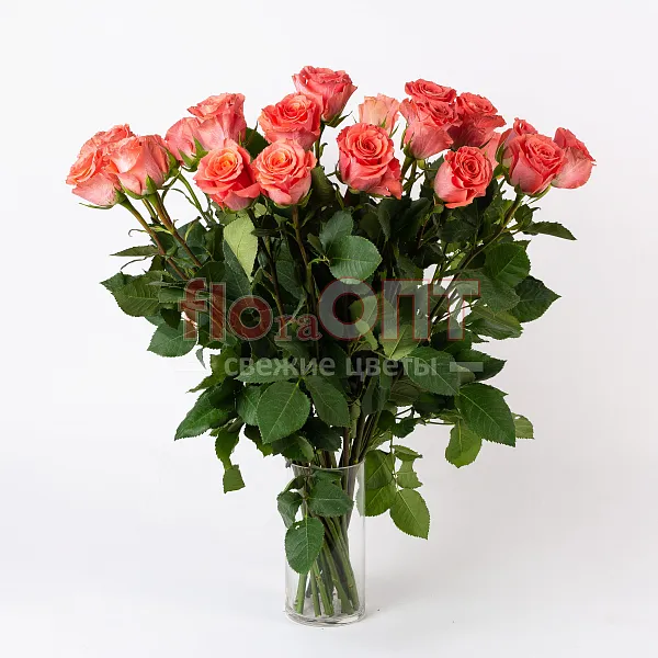 Роза Микс 70 см — фото 2