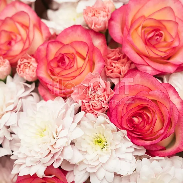 Букет № 516 с розовыми розами и хризантемой — фото 3