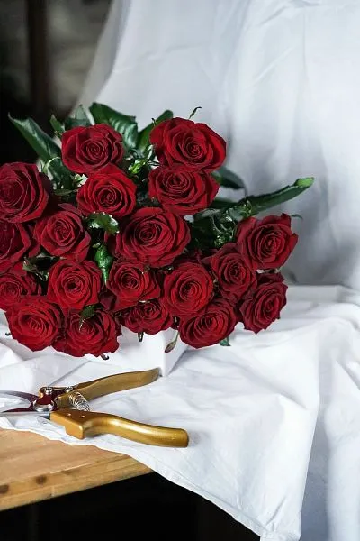 Букет № 555 из 19 красных роз  — фото 2