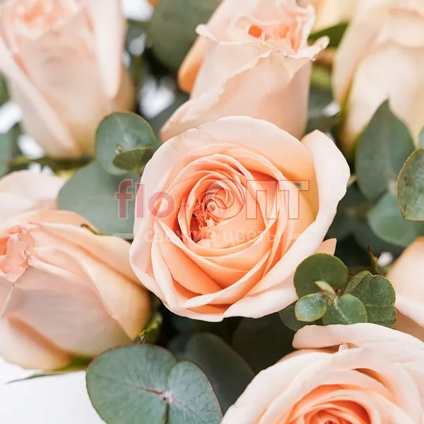 Композиция № 98 с кремовыми розами и эвкалиптом — фото 4