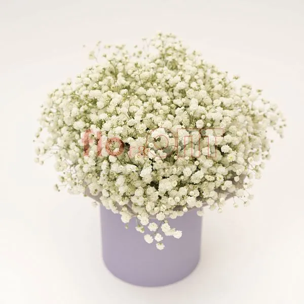 Композиция № 220 в коробке с гипсофилой  — фото 2