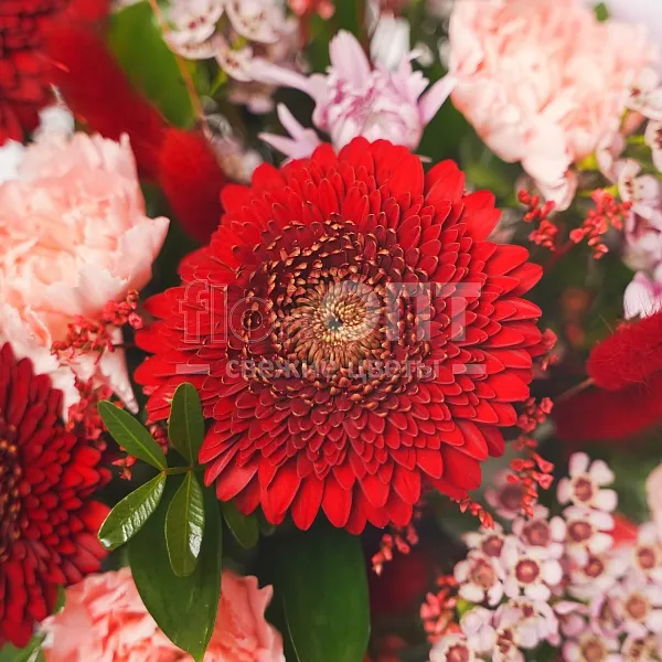 Композиция № 57 красная с герберами и гвоздикой  — фото 5