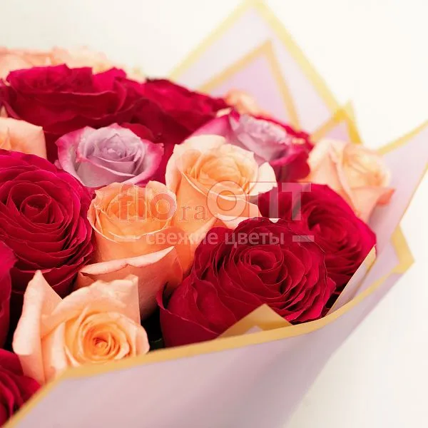 Букет № 550 из 75 эквадорских роз — фото 5