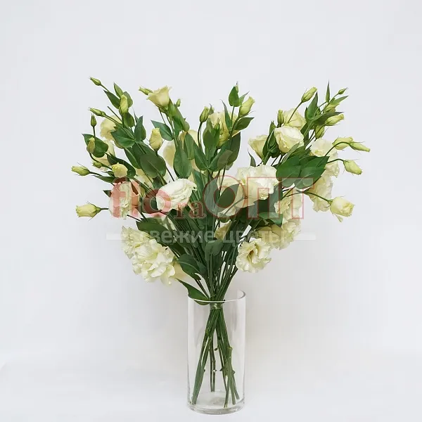 Эустома — фото 3