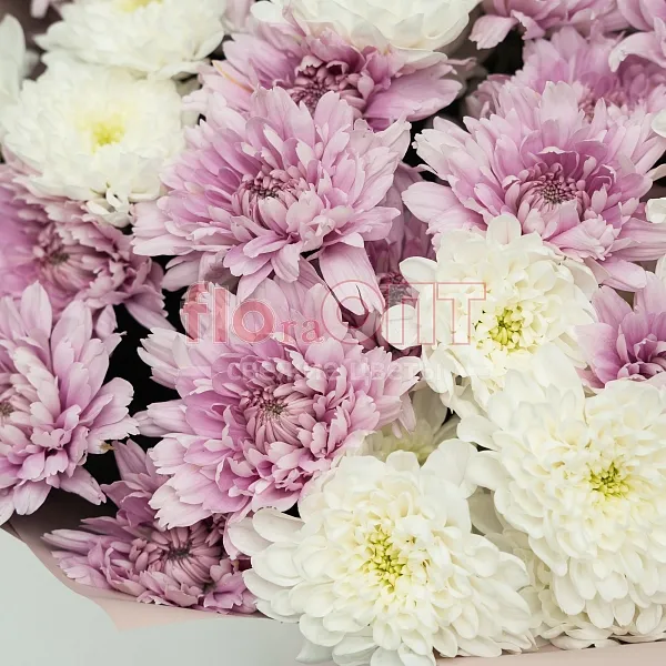 Букет № 520 с кустовой хризантемой  — фото 3