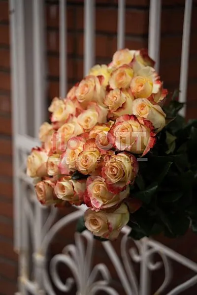 Роза Микс 60 см — фото 3