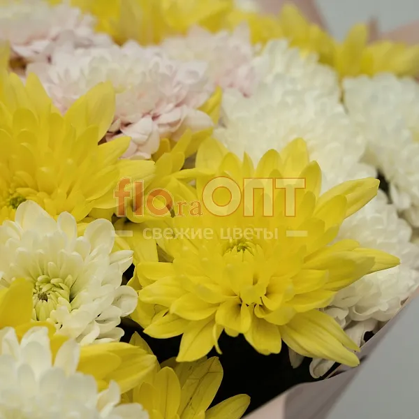 Букет № 527 с кустовой хризантемой  — фото 5