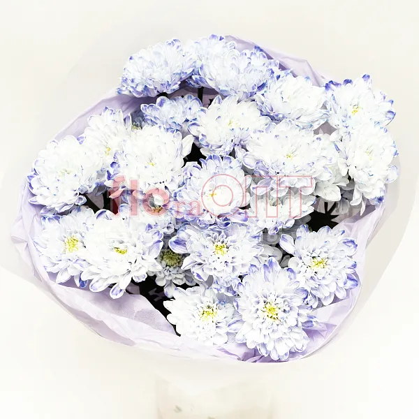 Букет № 530 с крашеной хризантемой  — фото 2