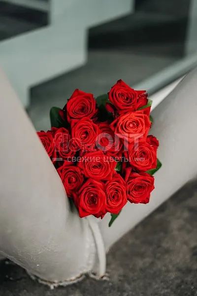 Роза Гран При 50 см — фото 3