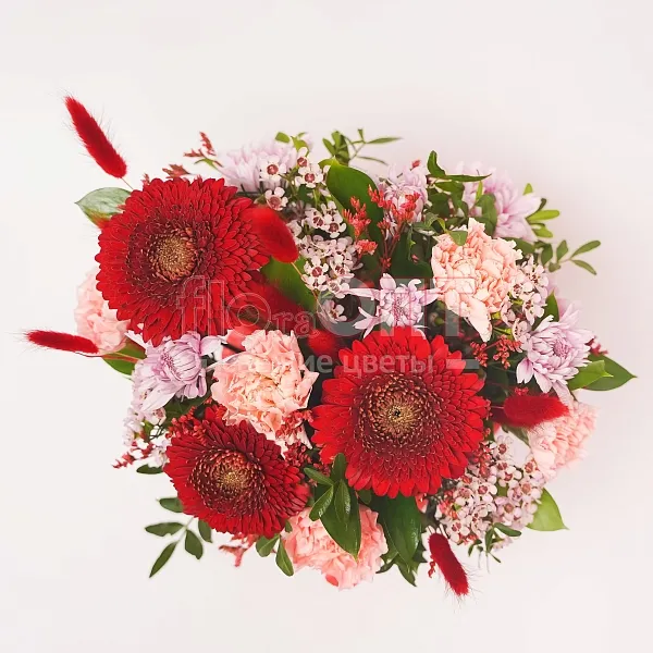 Композиция № 57 красная с герберами и гвоздикой  — фото 2