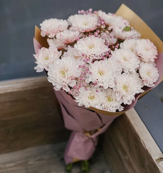 Букет № 563 из крашеной кустовой хризантемы  — фото 1