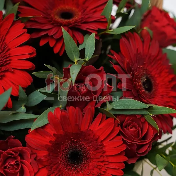 Композиция № 93 с герберой и российской розой — фото 3