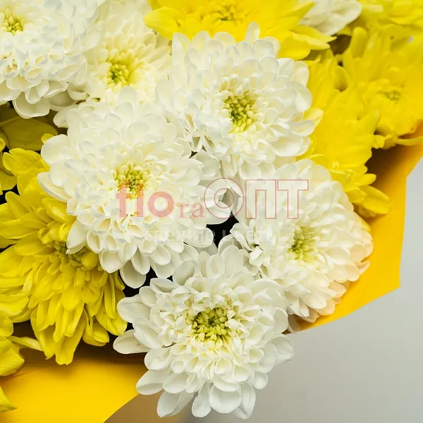 Букет № 524 с желтой и белой хризантемой  — фото 4