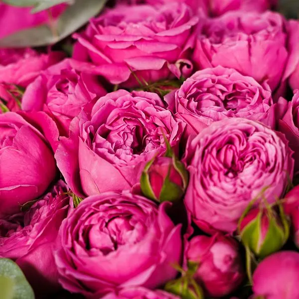 Букет № 546 с пионовидной розой  — фото 4