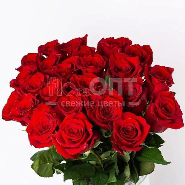 Роза Форевер 70см — фото 3