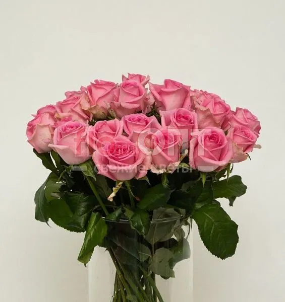 Роза Россия 70см — фото 4