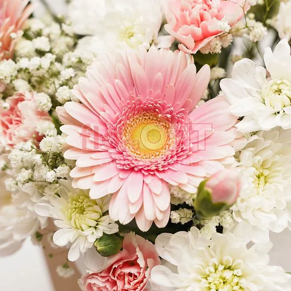 Коробка № 209 с герберами и хризантемой  — фото 3